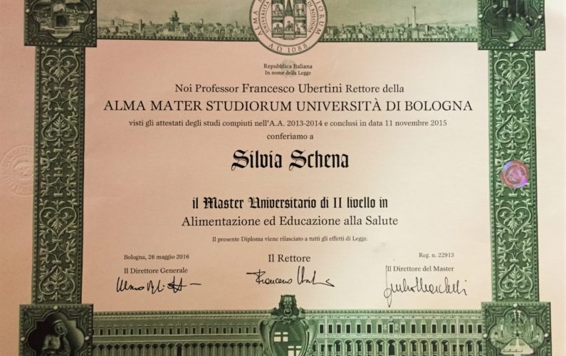 master-silvia